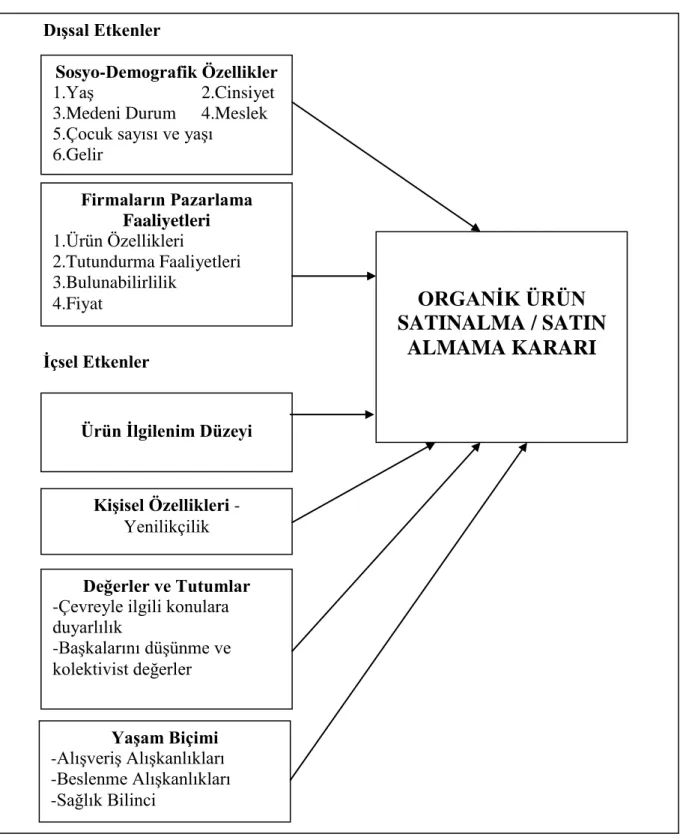 Şekil 5.3. Organik Ürün Satın Alma Kararına Etki Eden Faktörler    Dışsal Etkenler 