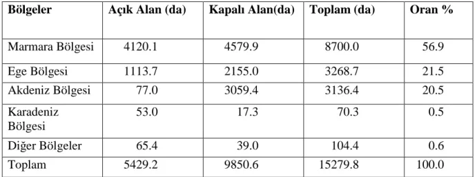 Çizelge 1.3.  2007 yılında Türkiye’de kesme çiçek üretim alanlarının bölgelere göre dağılımı  (Anonim 2007)