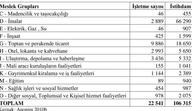 Çizelge 5.8. Meslek Gruplarına Göre ĠĢletme ve Ġstihdam Dağılımı 