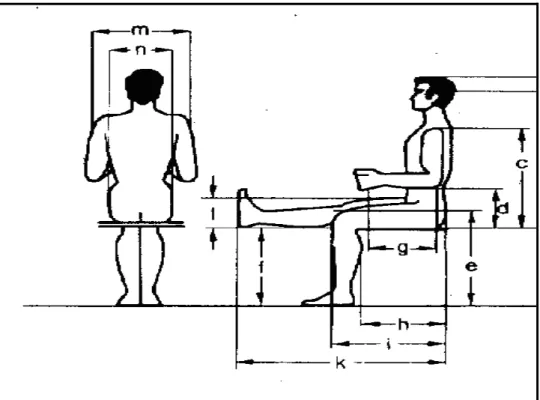 Şekil 2.2.Endüstride ergonomik amaçlarla statik antropometri araştırmalarında kullanılan  boyut(oturarak) ölçüleri [Anonim 2008b] 
