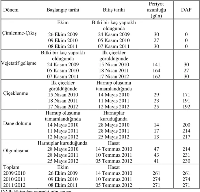 Çizelge 4.1. Araştırma yıllarında kolza bitkisinin gelişme dönemleri  