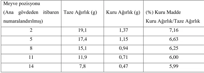 Çizelge  2.17.  Gardeners  Delight  kiraz  domatesinde  salkım  içindeki  meyve  pozisyonunun,  meyvede taze, kuru ağırlık ve kuru madde içeriğine etkisi (Hobson ve Adams 1988)