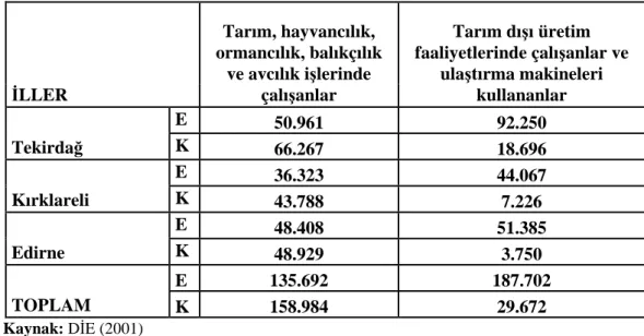 Çizelge 11.1.Trakya Bölgesinde Đnsan Kaynakları (2000) 