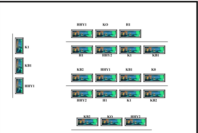 Şekil 3.2.1.1. Araştırmaya Ait Deneme Planı 