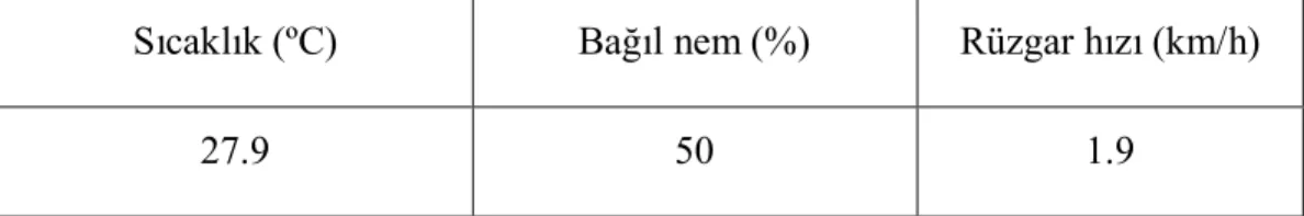 Çizelge 4.1. Araştırmanın yürütüldüğü sırada ölçülen meteorolojik değerler 