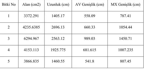 Çizelge 4.3. YAİ değerleri  