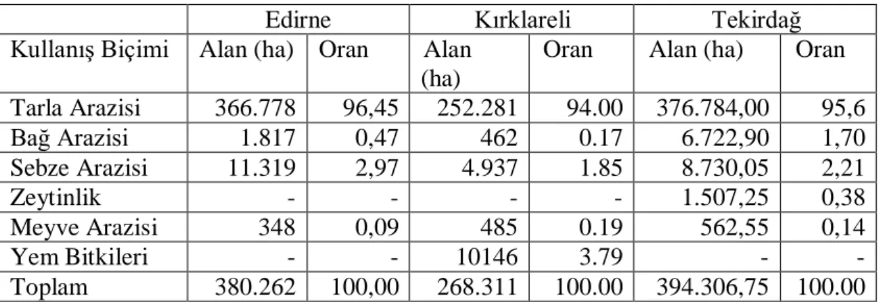 Çizelge 4.6. Trakya Bölgesindeki Tarımsal Arazilerin Kullanım Biçimi 