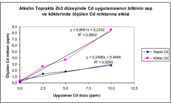 ġekil 4.4.  Alkalin toprakta Zn3 düzeyinde Cd uygulamasının bitkinin sap ve köklerinde ölçülen Cd miktarına etkisi 