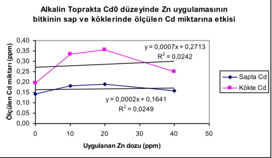 ġekil 4.5.  Alkalin toprakta Cd0 düzeyinde Zn uygulamasının bitkinin sap ve köklerinde ölçülen Cd miktarına etkisi 