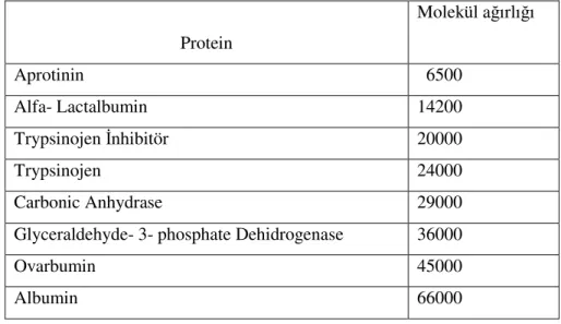 Çizelge 3.2.1.  Kullanılan standarttaki protein çeşitleri ve molekül ağırlıkları.  Protein  Molekül ağırlığı  Aprotinin    6500  Alfa- Lactalbumin  14200  Trypsinojen İnhibitör  20000  Trypsinojen  24000  Carbonic Anhydrase  29000 