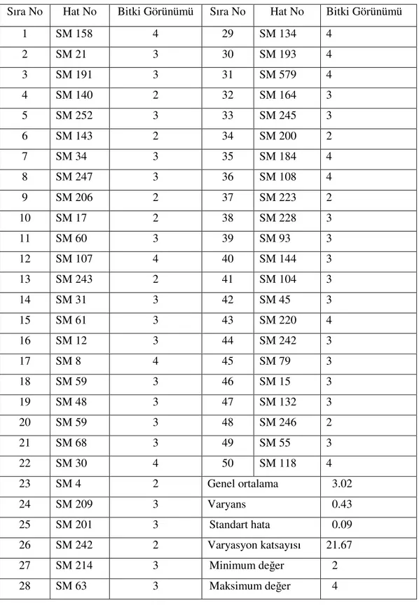 Çizelge  4.1.5.  Araştırmada  kullanılan  kendilenmiş  hatların  bitki  görünümleri  ve  basit  istatistiki analiz sonuçları