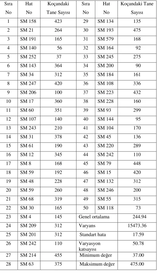 Çizelge 4.1.7. Araştırmada kullanılan kendilenmiş hatlardan elde edilen  koçandaki tane sayısı  ve basit istatistiki analiz değerleri