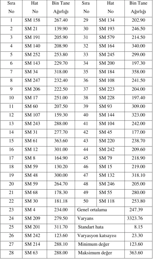 Çizelge  4.1.8.  Araştırmada  kullanılan  kendilenmiş  hatların  bin  tane  ağırlıkları  (g)  ve  basit  istatistiki analiz değerleri