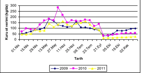 Şekil 4.3. Taban meranın 2009, 2010 ve 2011 yılları kuru ot verim eğrileri 