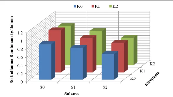 Şekil 4.9 Ayçiçeği bitkisinin verime göre ortalama su kullanma randımanı. 