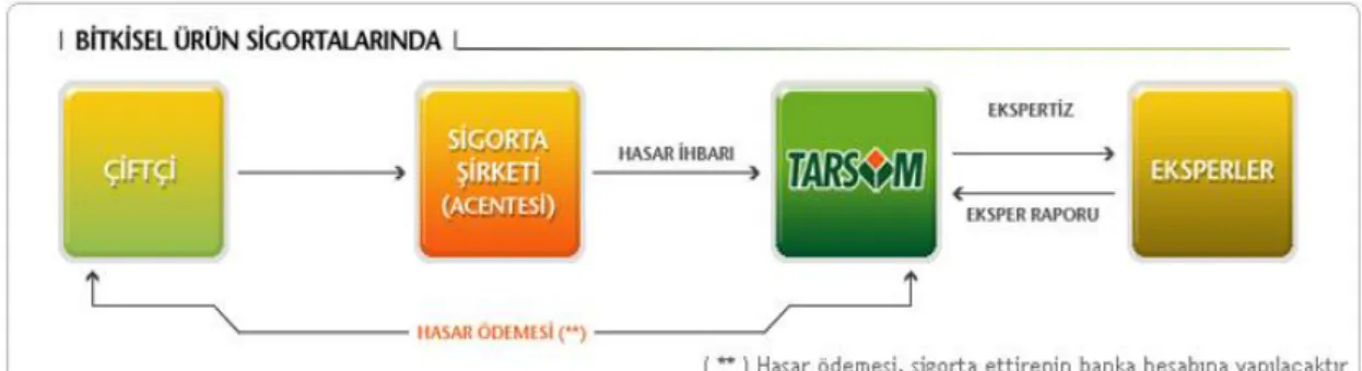Şekil 7.3. Bitkisel Ürün Sigortası Hasar İhbar/Ekspertiz/Ödeme İş Akışı 
