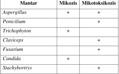 Çizelge 2. 3. Kanatlılarda mikozis ve mikotoksikozise neden olan başlıca mantarlar   Mantar  Mikozis  Mikotoksikozis 