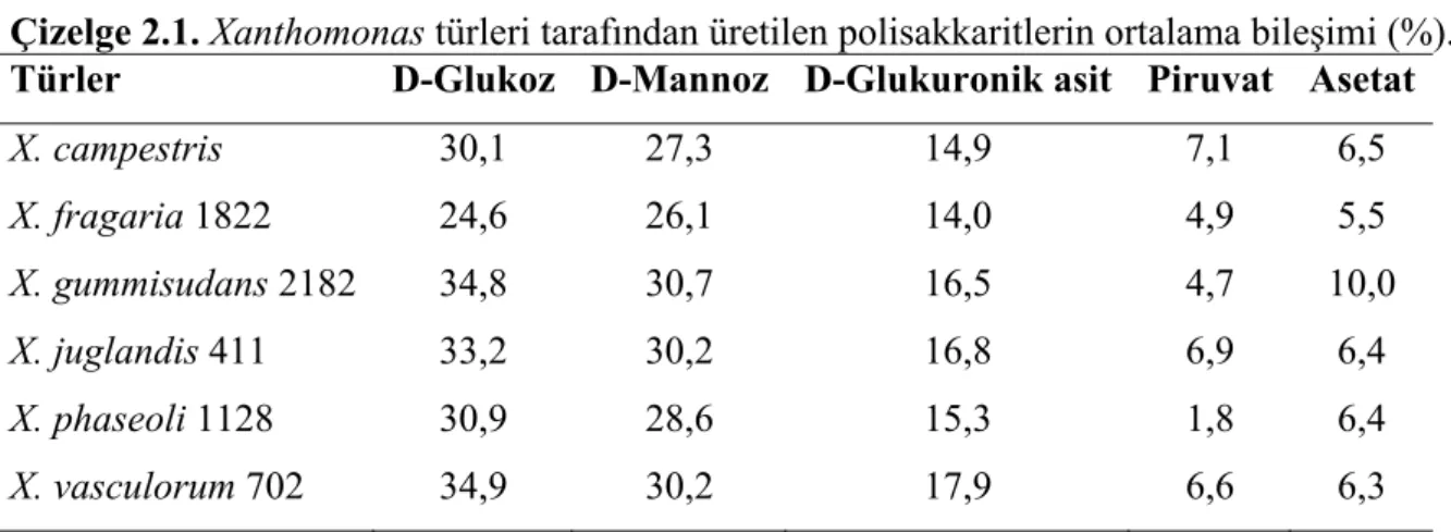 Çizelge 2.1. Xanthomonas türleri tarafından üretilen polisakkaritlerin ortalama bileşimi (%)