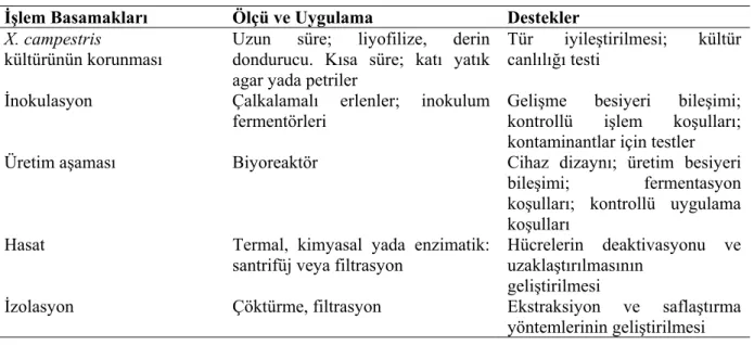 Çizelge 2.4. Ksantan gam üretim prosesi anahtar basamaklar. 