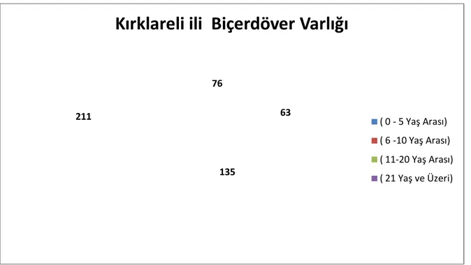 Şekil 1.4. Kırklareli İli Biçerdöver Parkının Yaş Gruplarına Göre Dağılımı 