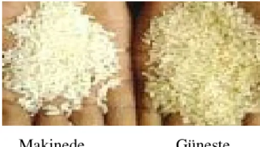 Şekil 1.1. Güneşte yapılan çeltik kurutmasının elde edilen pirinç kalitesine etkisi   (Anonim  2002a)  
