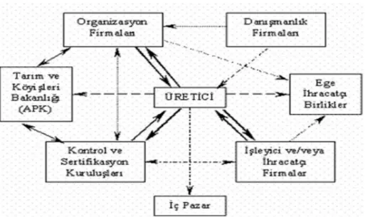 Şekil 3: Organizasyon şeması  