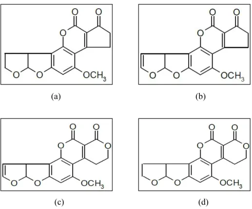 Şekil 2.6. AFB 1  (a), AFB 2  (b), AFG 1  (c) ve AFG 2  (d)’nin kimyasal yapıları. 