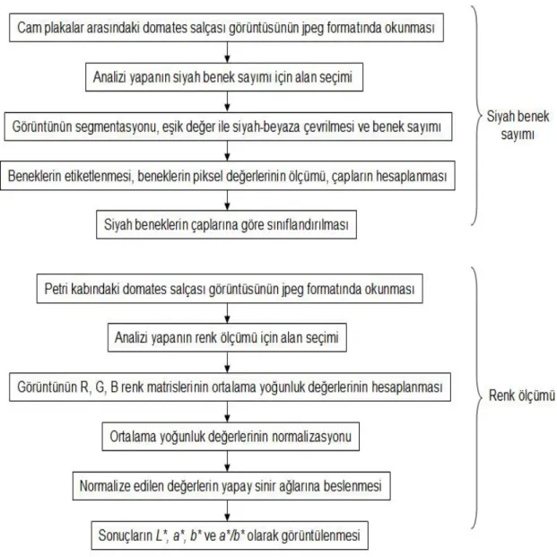 Şekil 3.2. Salçada siyah benek ve renk tayininde kullanılan algoritma. 