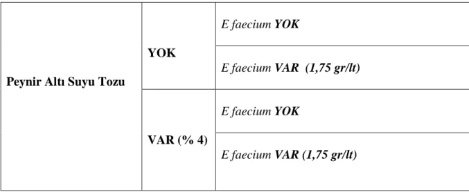 Çizelge  6.  Enjeksiyon  Çözeltisinde  Bulunan  Peynir  Altı  Suyu  Tozu  ve  E  faecium 