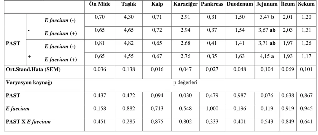 Çizelge 9. Peynir Altı Suyu Tozu ve E faecium Enjeksiyonunun Sindirim Organ Parametrelerine Etkileri (0-14 gün) g/CA 