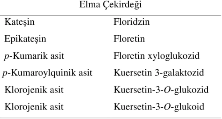 Çizelge 2.1. Elma çekirdeğinde tanımlanan fenolik bileşenler (Chinnici ve ark. 2004)  Elma Çekirdeği 