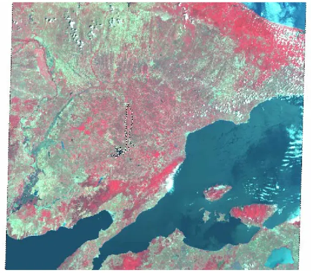 Şekil 3.6 Haziran 2000 Landsat 7 ETM uydu görüntüsü  