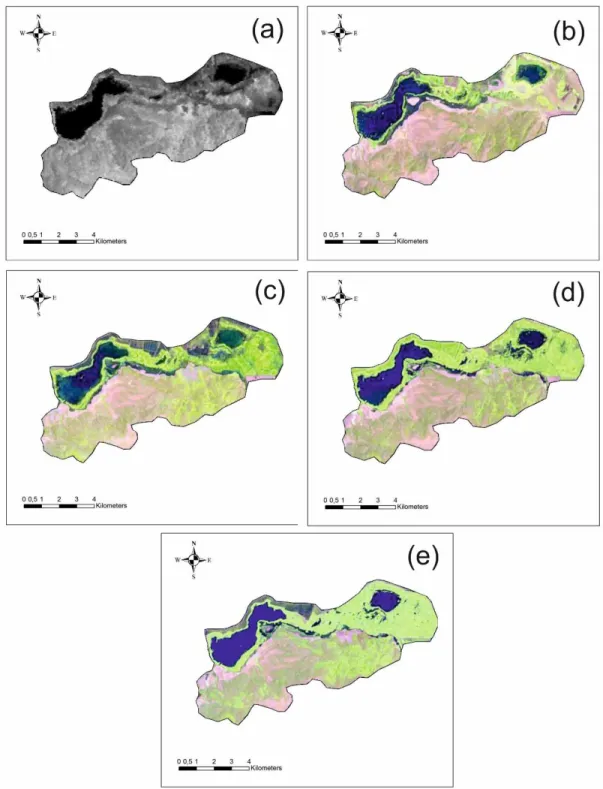 Figure 3. Satellite Images:  