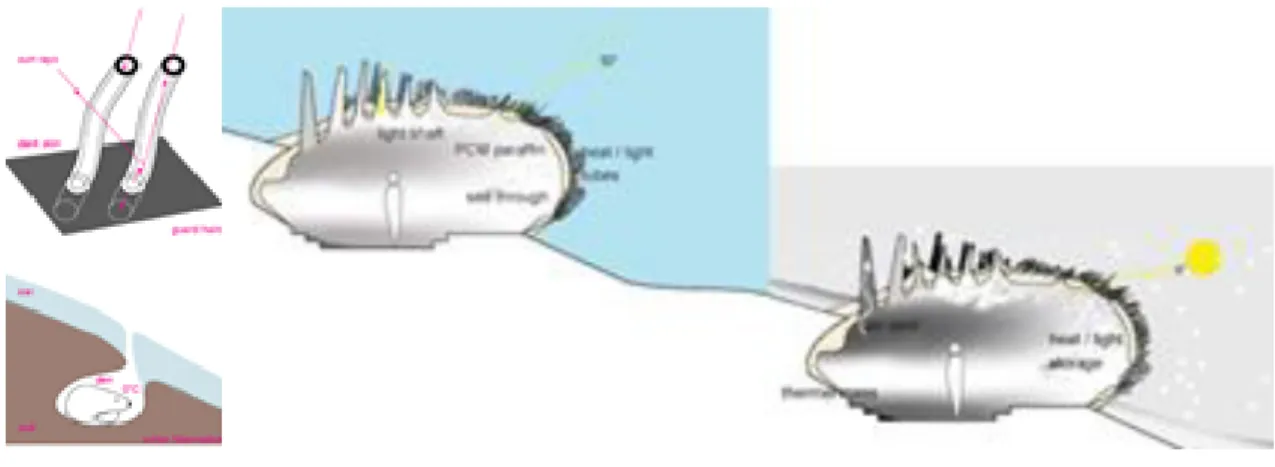 Figure 16. Building skin inspired by polar bear [50] 