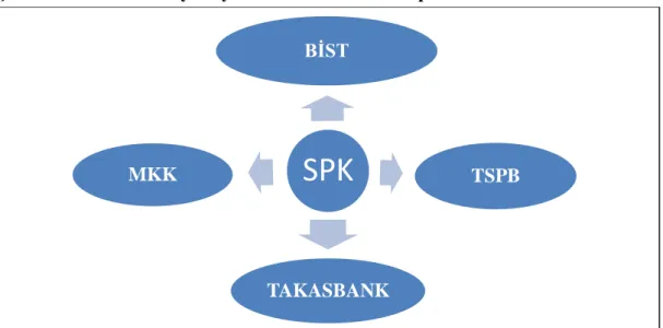 Şekil 5.1. Türk Sermaye Piyasasının Kurumsal Yapısı 