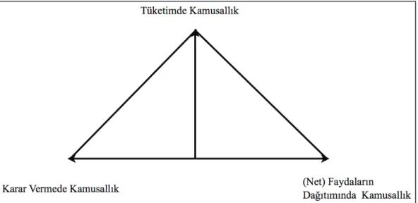 Şekil 1.1. Kamusallık Üçgeni