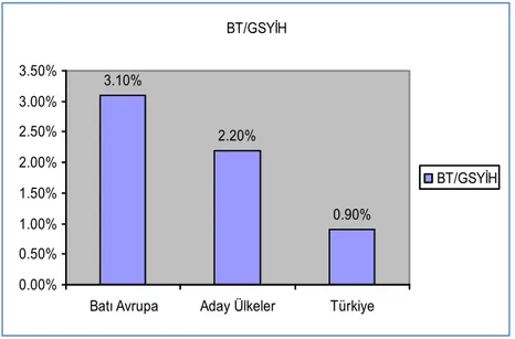 Şekil 2.14. Bilgi Teknolojileri Pazar (2009) 