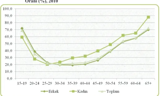Grafik 2.3. Tar�m D��� Sektörlerde, Ya� Grubu ve Cinsiyete Göre Kay�t D���l�k  Oran� (%), 2010 
