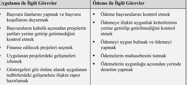 Tablo 1.3’de detaylı olarak açıklandığı üzere, Ajansın ödeme ve uygulama  olmak üzere iki farklı alanda görevi bulunmaktadır