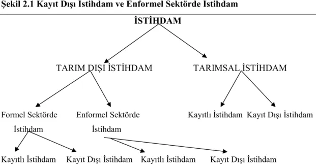 Şekil 2.1 Kayıt Dışı İstihdam ve Enformel Sektörde İstihdam  İSTİHDAM 