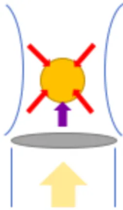 Figure 2.1: Optical forces. Gradient force is shown in red; scattering force is shown  in purple