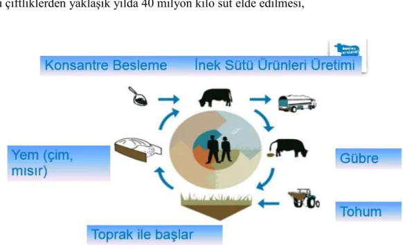 Şekil 3.11: Sürdürülebilir tarım şeması (Midden-Delfland Belediyesi, 2016) 