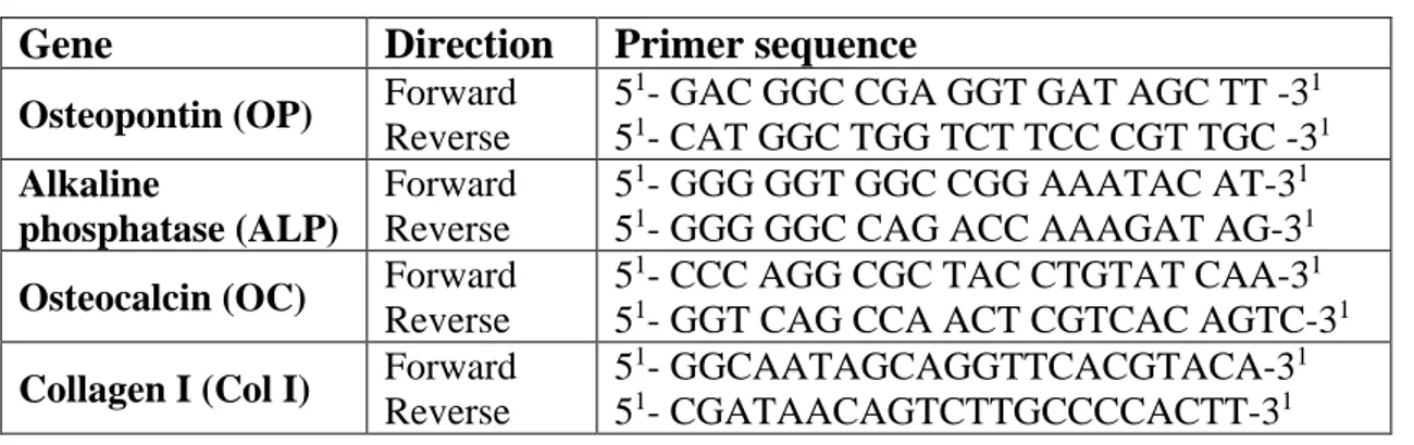 Table 1: PCR Primers used for expression of osteogenic specific genes 