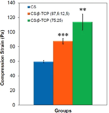 Figure 4:  Compressive strength of CS and CS/β-TCP composite scaffolds 3.2 In-vitro Cell Study 