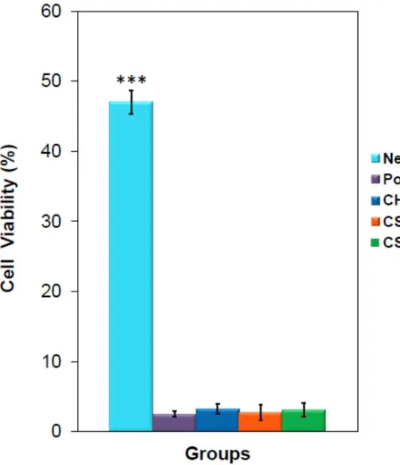 Figure 6:  Percentage of micronuclei of the cells among the groups 3.2.2 Differentiation Studies 