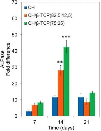 Figure 9:  Alkaline Phosphatase activity of CS and CS/β-TCP composite scaffolds after 7, 