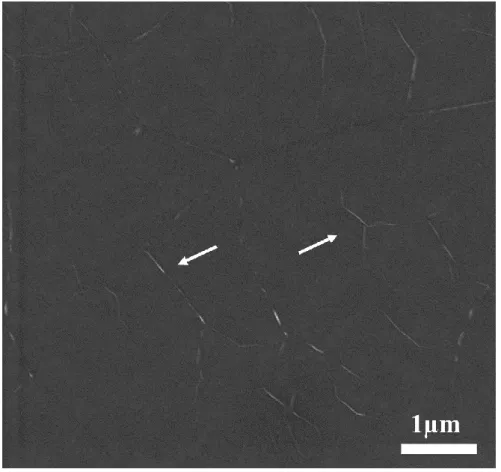 Figure 3.3 : SEM images of pristine graphene film. The white arrows indicate the  wrinkles