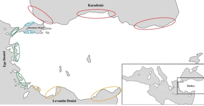 Şekil 12: Örnekleme istasyonları. 