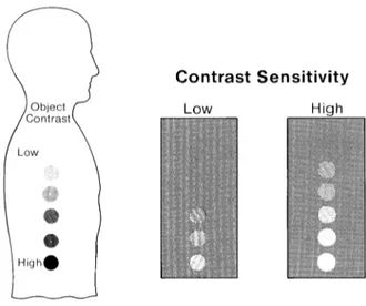 Figure 1.15: Relation Between Contrast Sensitivity And Visibility 
