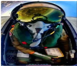 ġekil 1.2: Kokpit Ġçindeki Pilot [6]. 
